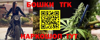 индика Жуковский