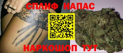 индика Жуковский
